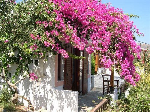 팔레카스트론 Casa Di Mare 아파트 외부 사진